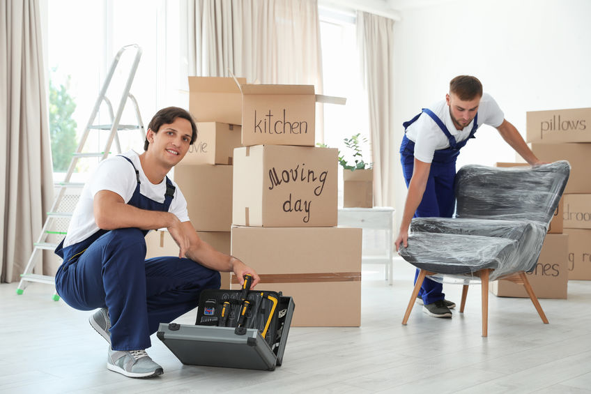 Male movers with instruments and armchair in new house