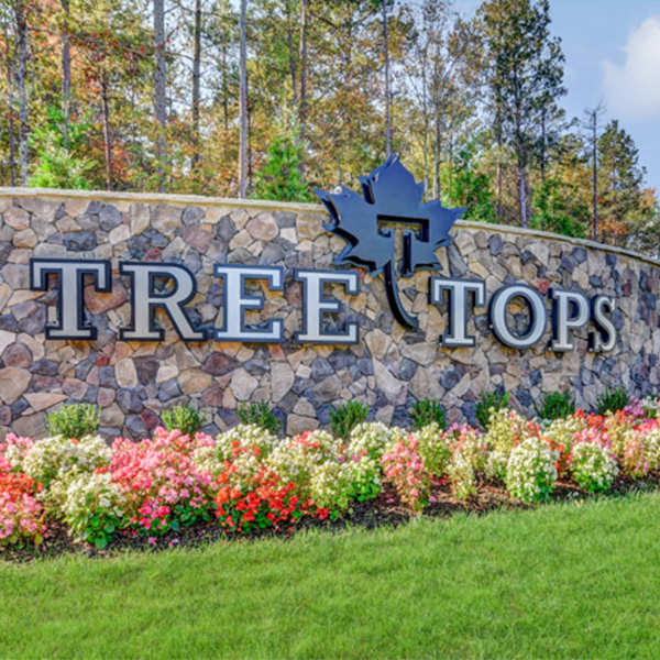 Tree Tops