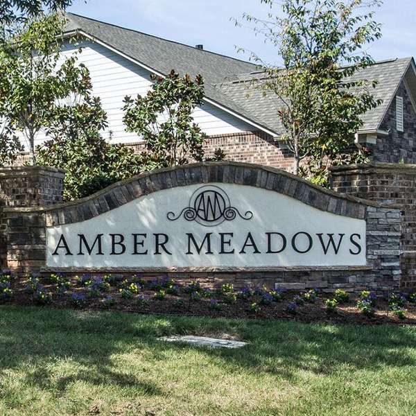 Amber Meadows