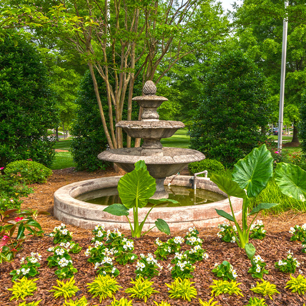 The Cottages at Carolina Place